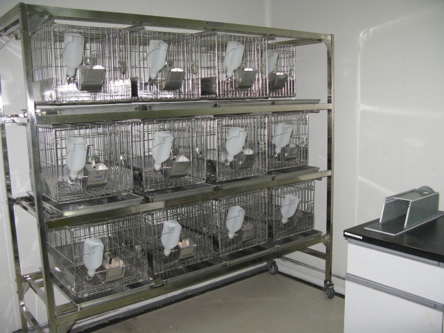 不朽情缘mg官网普亚新动物房通过上海动管会验收