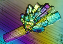 生物不朽情缘mg官网公司