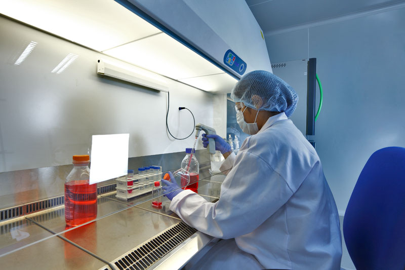 2015年药品特殊审评数据分析：哪些新药搭上了快车？