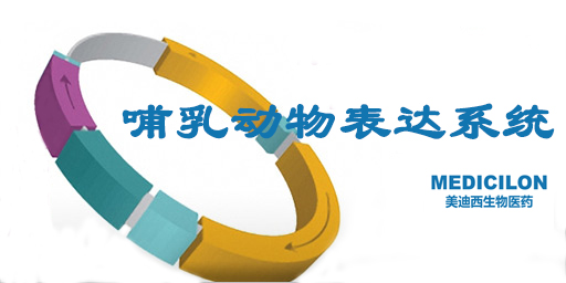 哺乳动物细胞表达系统特点、优势及研究现状