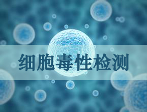 不朽情缘mg官网细胞毒性实验服务