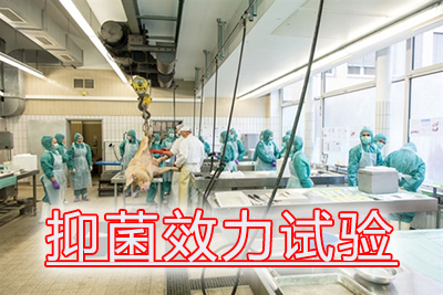 不朽情缘mg官网抑菌效力试验费用