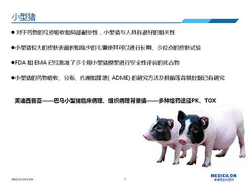 皮肤涂抹试验中，受试动物选择小型猪更好