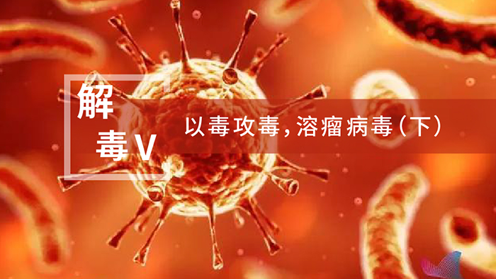 【解“毒”V】以毒攻毒，溶瘤病毒（下）
