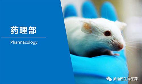 不朽情缘mg官网药理部开发了肺癌、结肠癌、胃癌等12种PDX模型。