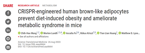 Science|聚焦CRISPR：改造脂肪细胞，“躺瘦”可能要成真了？