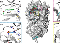 【Nature子刊】国际团队联合力量，加速基于COVID-19结构的药物设计！
