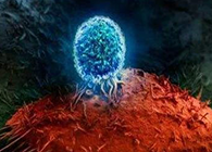 Nature：BATF3改善T细胞记忆应答，有望改善免疫疗法的疗效