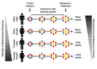 究竟为什么ICB疗法在年轻女性肿瘤患者体内收效甚微？