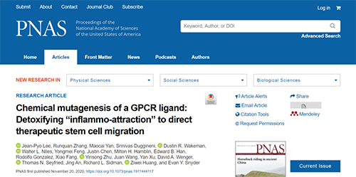世界首创：药物将干细胞引导至受损部位，提高其愈合能力！