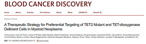 研究者描述了一种新型靶向抗癌药物，这种药物可能会有效地治疗某些常见的白血病。