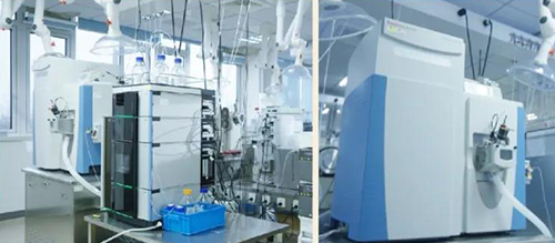 不朽情缘mg官网DMPK分析服务