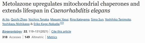 来自日本大阪市立大学的科学家搜索了现有药物的化学“文库”，他们发现一种名为美托拉宗的抗高血压药可延长秀丽隐杆线虫的寿命，标志着抗衰老药物开发的第一步
