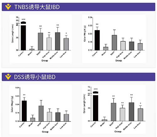TNBS诱导的大鼠IBD、DSS诱导的大鼠IBD