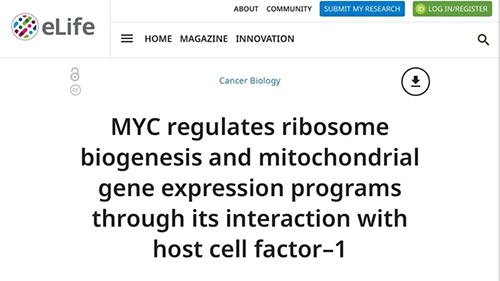可以“融化”肿瘤的蛋白质，你一定没有听说过！