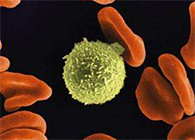 Science子刊：一种FDA批准的抗腹泻药物可有效对抗化疗的耐药性