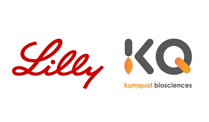 ：兀〔恍嗲樵祄g官网合作伙伴Kumquat Biosciences与礼来达成合作，共同开发肿瘤免疫小分子药