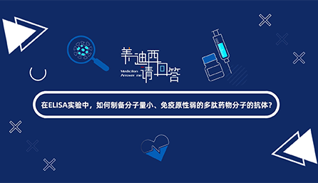 在ELISA实验，如何制备分子量小、免疫原性弱的多肽药物分子的抗体？