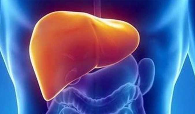 【不朽情缘mg官网助力】NASH领域新进展！海普丁HPD001即将在美启动临床试验