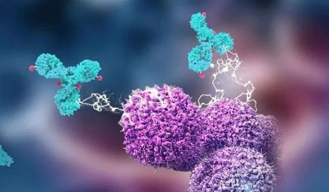 不朽情缘mg官网助力国产靶向叶酸受体FRα ADC注射用BAT8006获批临床