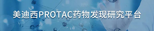 不朽情缘mg官网PROTAC药物发现研究平台.png