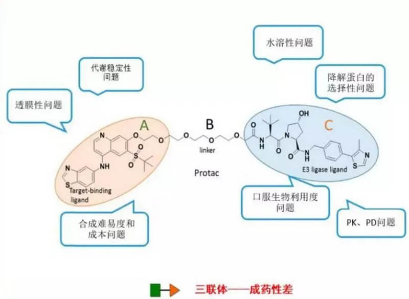 PROTAC分子量较大，溶解性较差.jpg