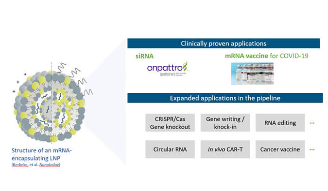 【专家报告】张翼博士：阳离子脂质高通量定制化筛选
