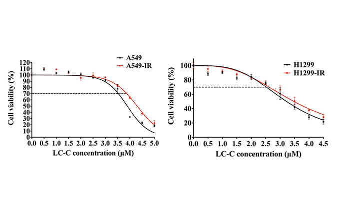 放射疗法用作肺癌的主要治疗方法，本研究中建立抗电离辐射肺癌细胞系的放射治疗通过不朽情缘mg官网进行