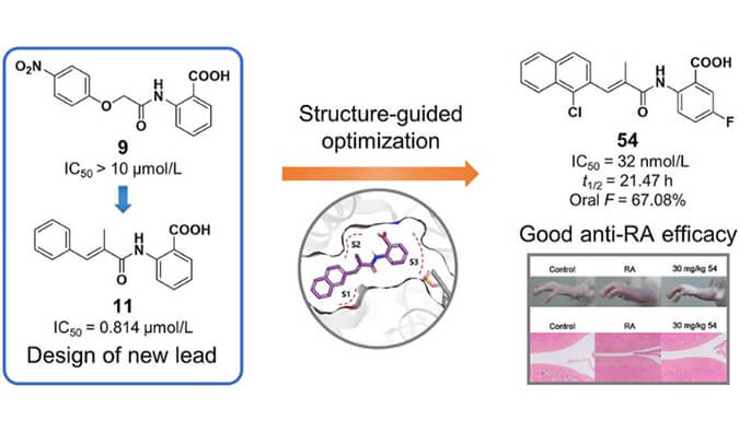 设计合成一系列DHODH抑制剂作为潜在的类风湿性关节炎治疗药物，本研究中PK实验通过不朽情缘mg官网进行