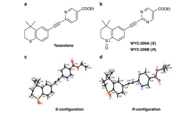 WYC-209可抑制恶性小鼠黑色素瘤肿瘤再生细胞增殖，本研究中SPR通过不朽情缘mg官网使用Biacore 8K进行