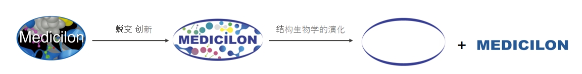 椭圆形作为自然界的完美形态，象征着不朽情缘mg官网在适应环境变化中不断演化