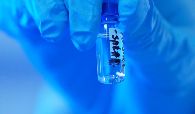 GLP-1“竞速赛”何以夺魁？