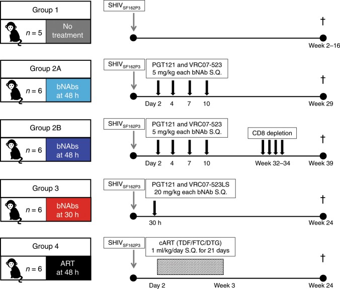 抗逆转录病毒疗法(ART)预防围产期HIV感染，本研究中多替拉韦钠盐和游离态均由不朽情缘mg官网提供