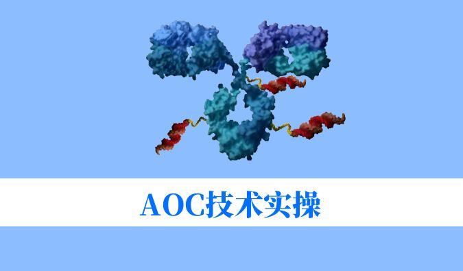 AOC技术实操：偶联化学与表征分析难题全搞定